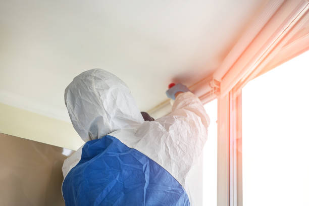 Why You Should Choose Our Mold Remediation Services in Bodega Bay, CA