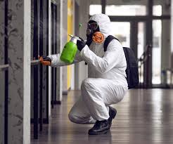 Professional Mold Removal in Bodega Bay, CA